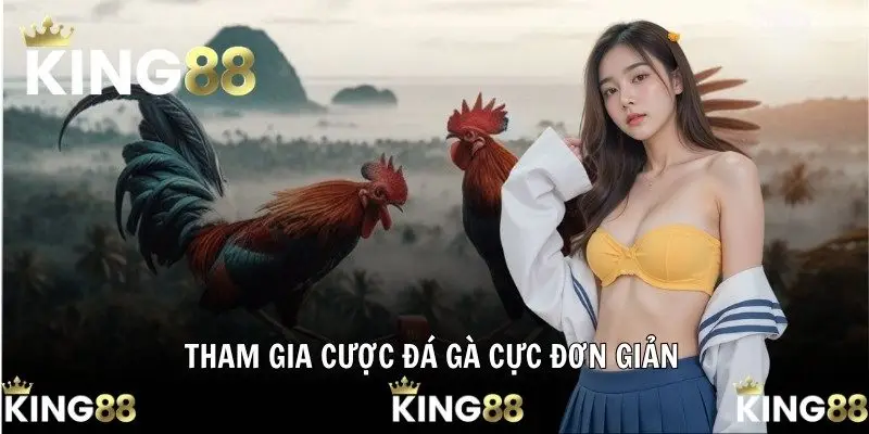 Tham gia cược đá gà cực đơn giản
