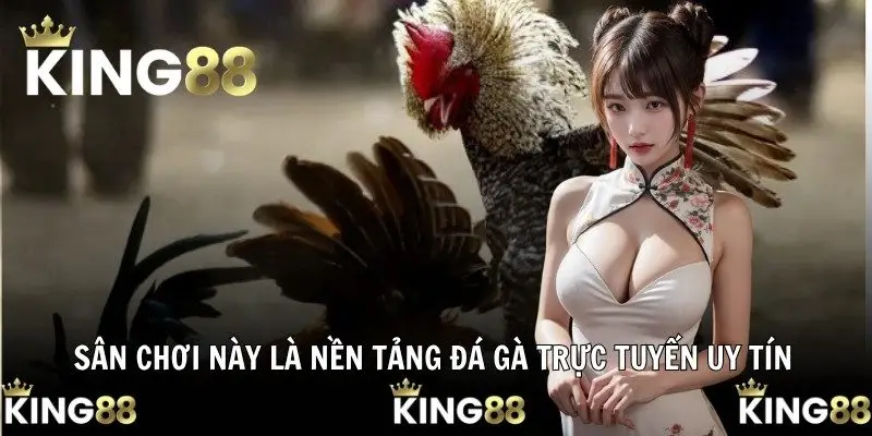 Sân chơi này là nền tảng đá gà trực tuyến uy tín