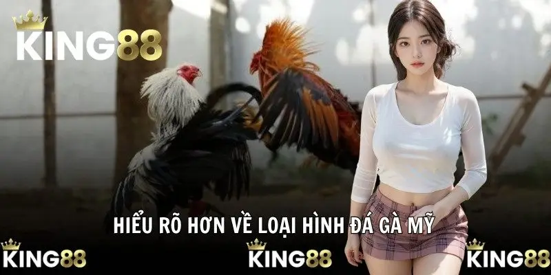 Hiểu rõ hơn về loại hình đá gà Mỹ