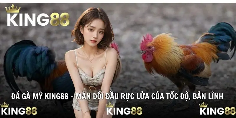 Đá Gà Mỹ King88 - Màn Đối Đầu Rực Lửa Của Tốc Độ, Bản Lĩnh